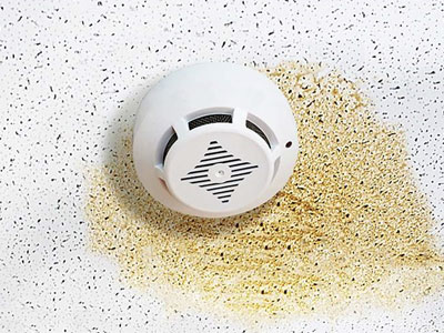 Bennetts Roofing Images