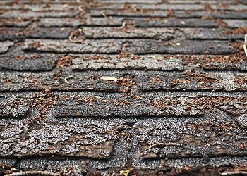 Bennetts Roofing Images